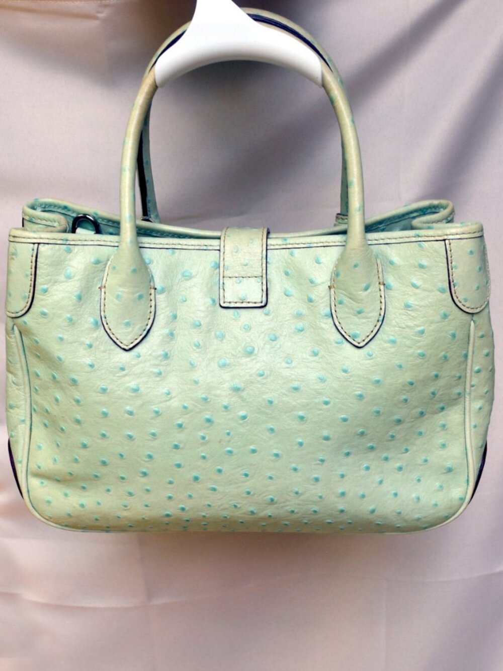 Dooney & Bourke Ostrich Embossed Leather Satchel Aqua Seafoam Blue Shoulder Bag - Picture 5 of 15